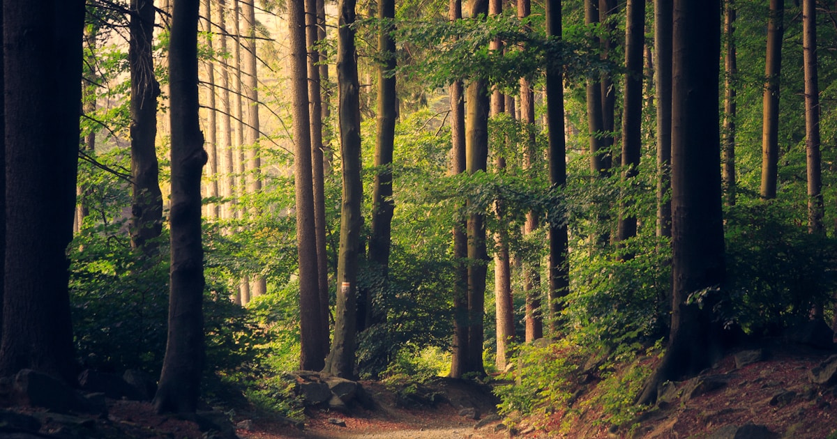 물 절약: 일상 속 물 절약 방법